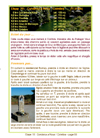 Premiers pas sur le chemin de Compostelle au Portugal.